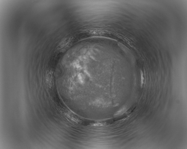 X0000052570511200507081705