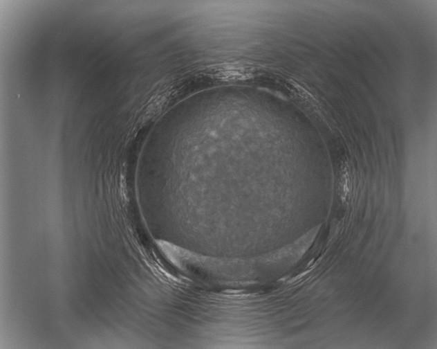 X0000052570512200507081705