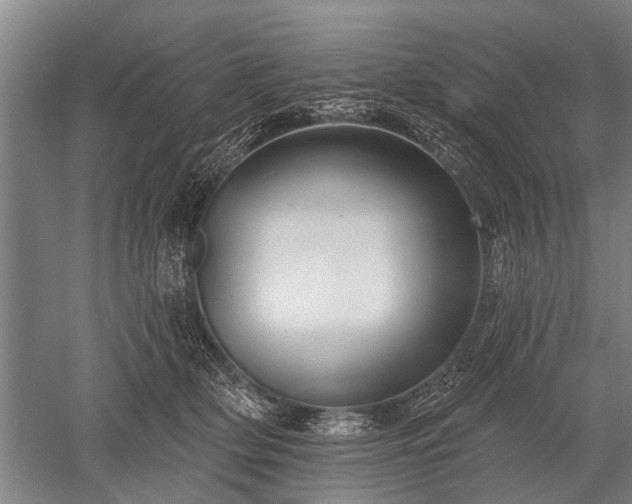 X0000052570514200507081705