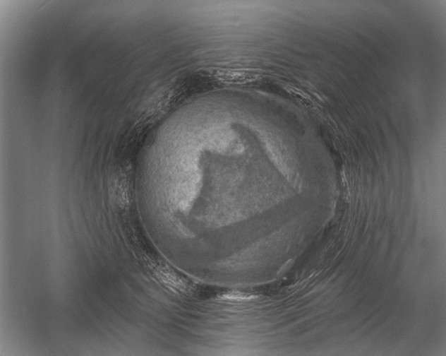 X0000052570515200507081705