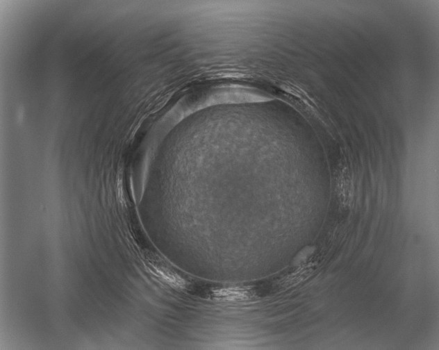 X0000052570516200507081705