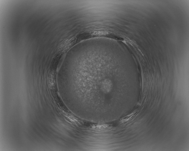 X0000052570517200507081705