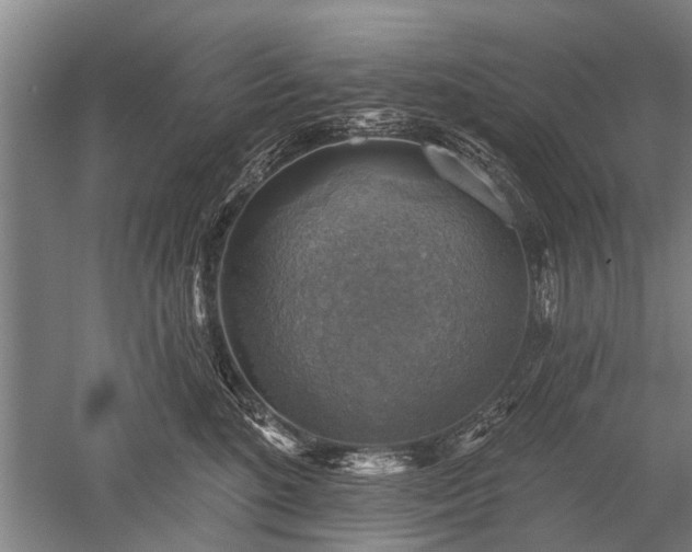 X0000052570520200507081705