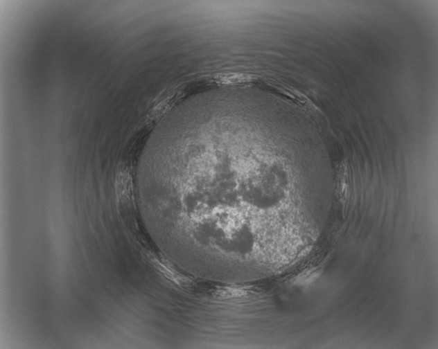 X0000052570523200507081705