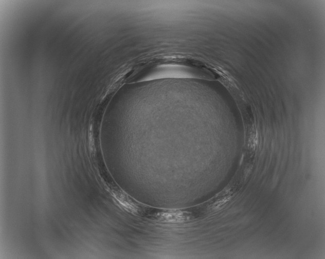 X0000052570524200507081705