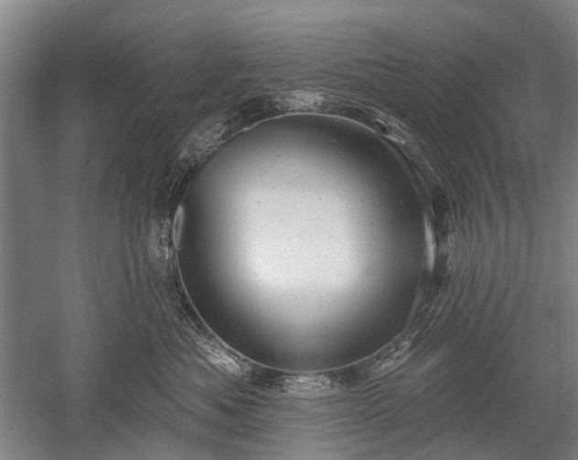 X0000052570525200507081705