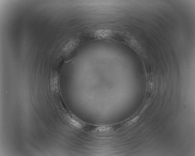 X0000052570526200507081705