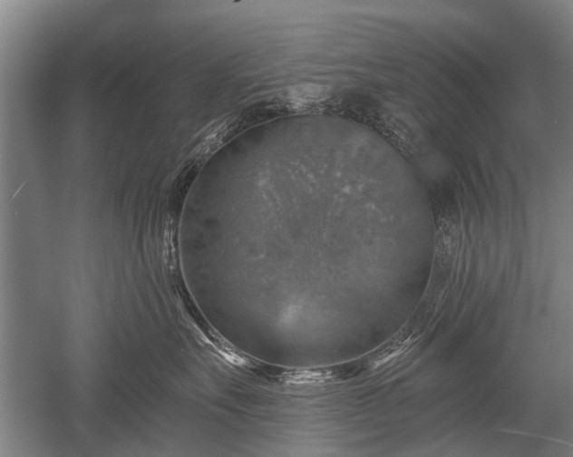 X0000052570527200507081705