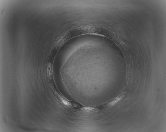 X0000052570528200507081705