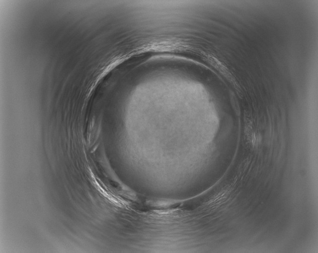 X0000052570530200507081704