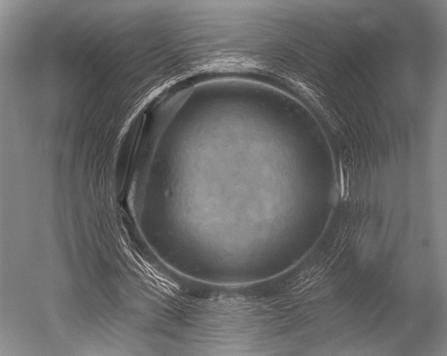 X0000052570531200507081704