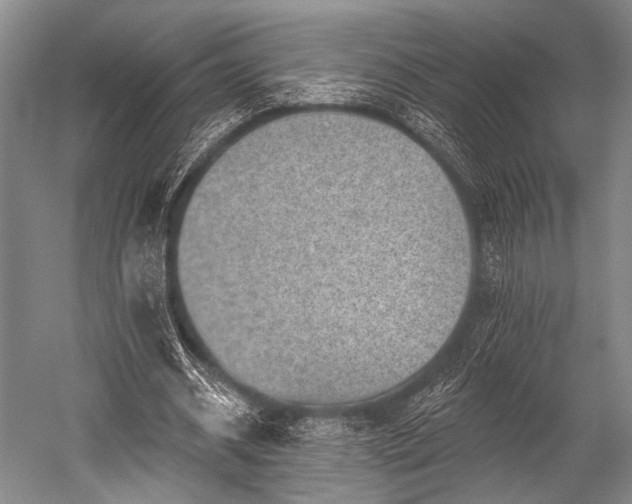 X0000052570534200507081704