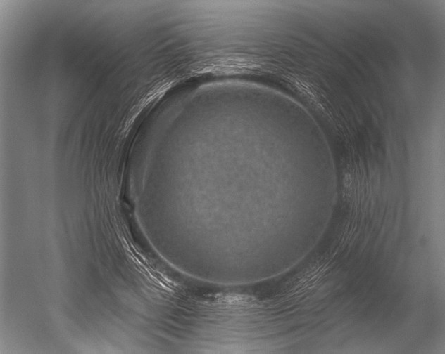 X0000052570539200507081704