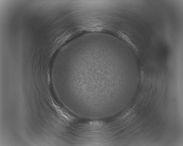 X0000052570541200507081704