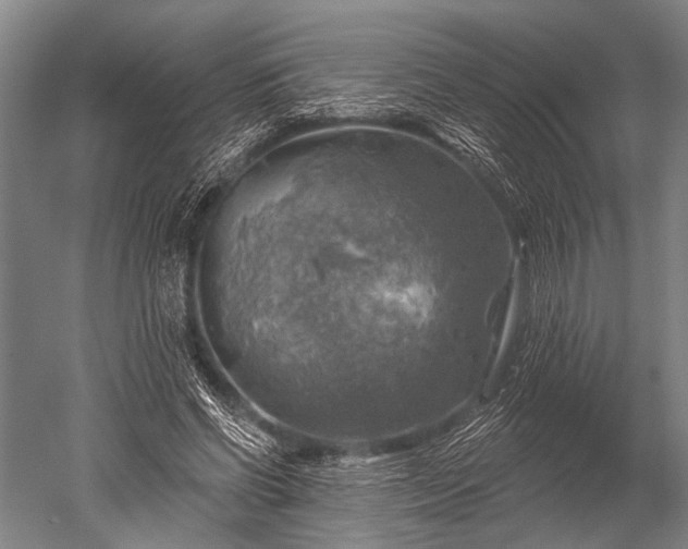 X0000052570542200507081704