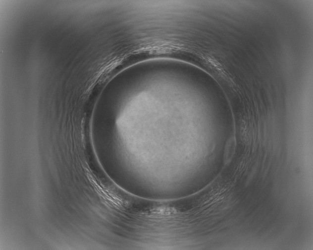 X0000052570543200507081704