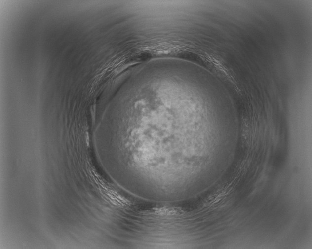 X0000052570545200507081704