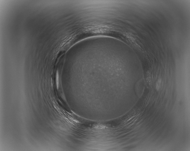 X0000052570547200507081704