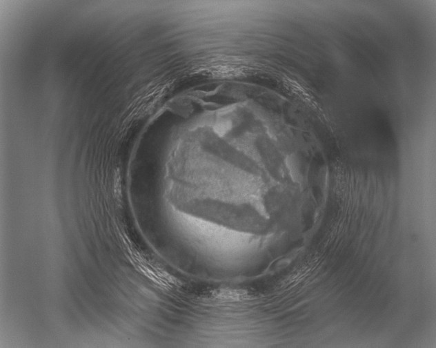 X0000052570549200507081704