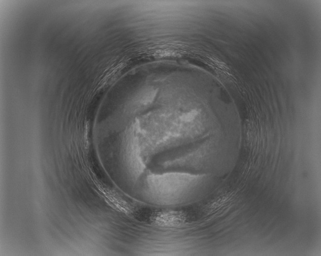 X0000052570550200507081704