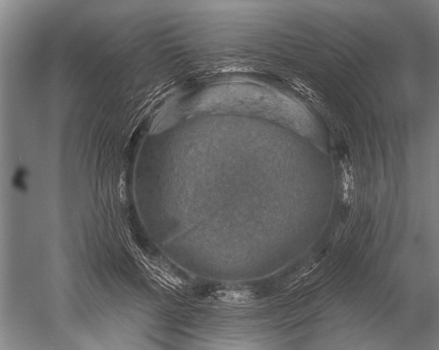 X0000052570552200507081704