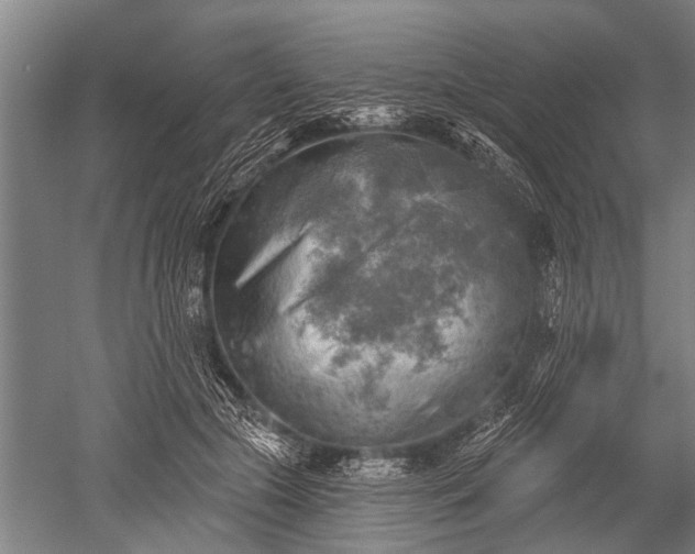 X0000052570553200507081704