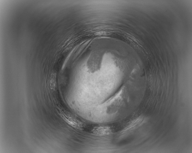 X0000052570554200507081704