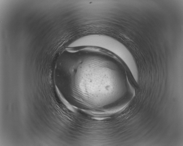 X0000052570556200507081704