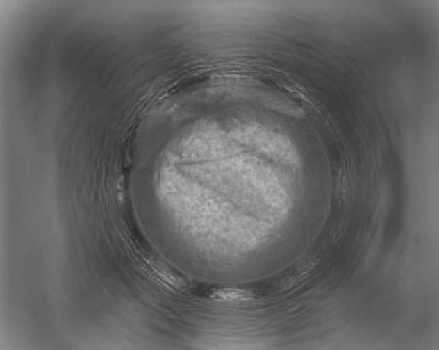 X0000052570557200507081704