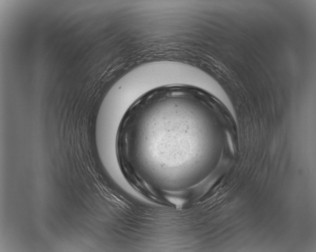 X0000052570558200507081704