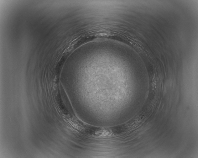 X0000052570559200507081704