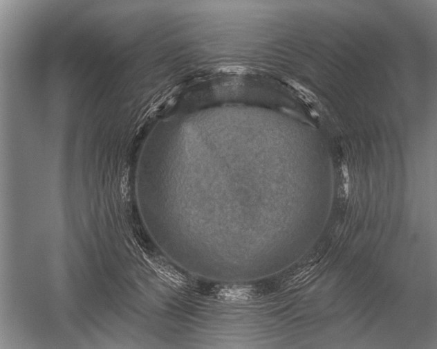 X0000052570560200507081704