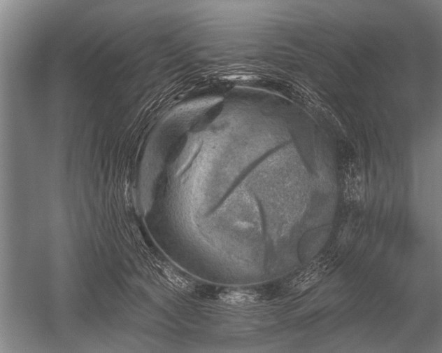 X0000052570561200507081704