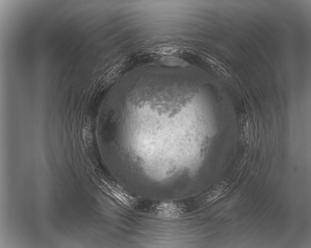 X0000052570562200507081704