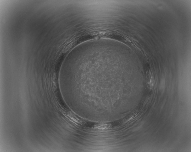 X0000052570563200507081704