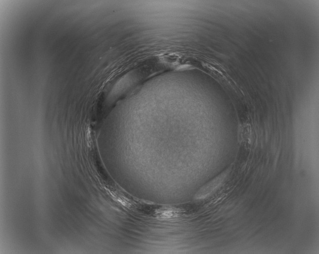 X0000052570564200507081705