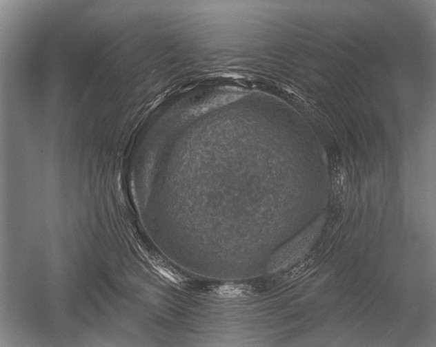 X0000052570566200507081705