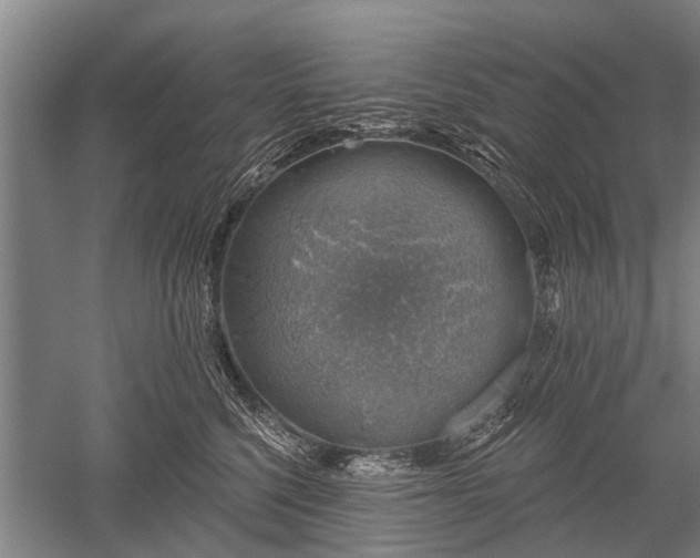 X0000052570568200507081705