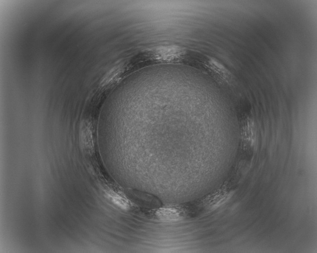 X0000052570572200507081705