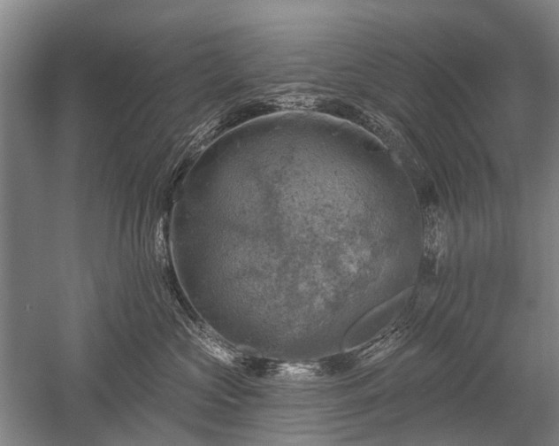 X0000052570573200507081705