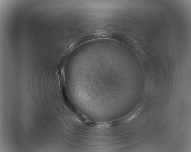 X0000052570576200507081705