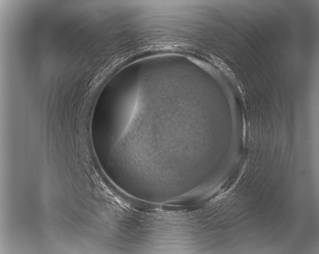 X0000052570577200507081704