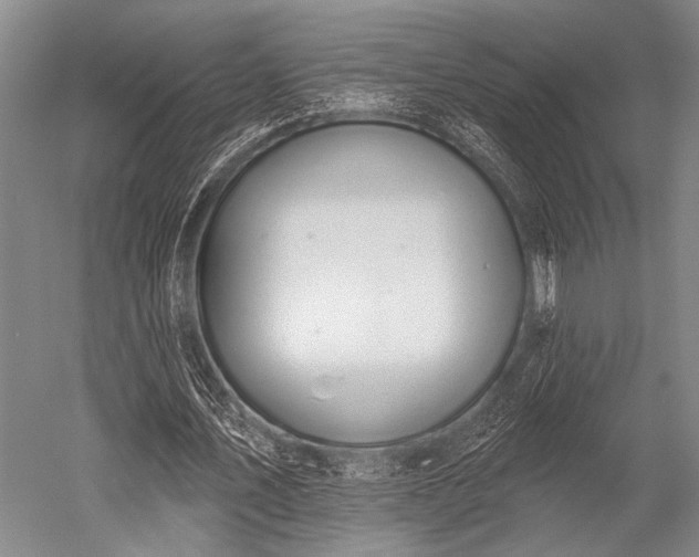 X0000052570579200507081704