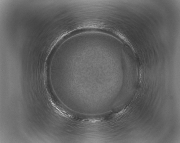 X0000052570580200507081704