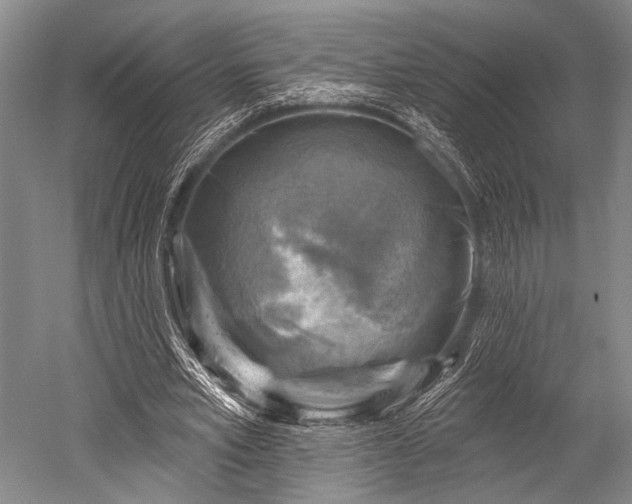 X0000052570581200507081704