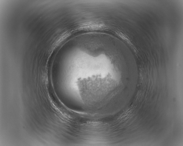 X0000052570582200507081704