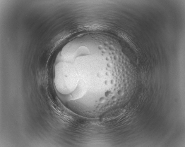 X0000052570583200507081704