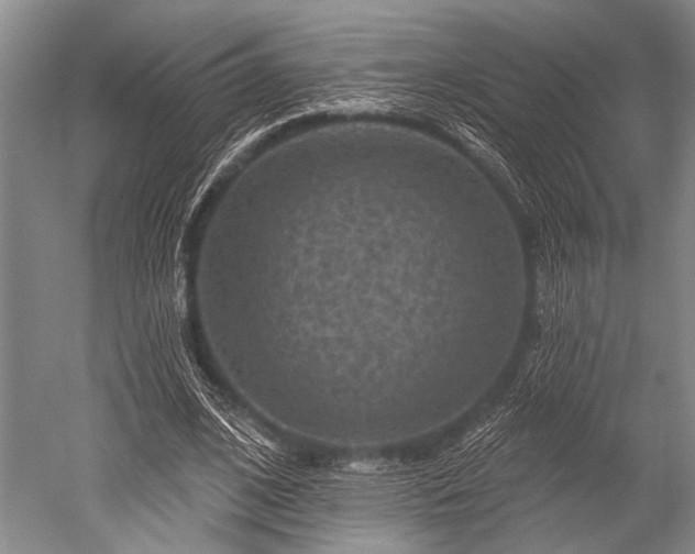 X0000052570584200507081704