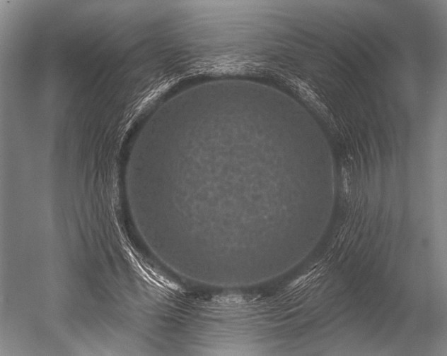 X0000052570588200507081704