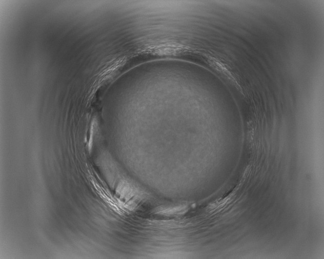 X0000052570589200507081704